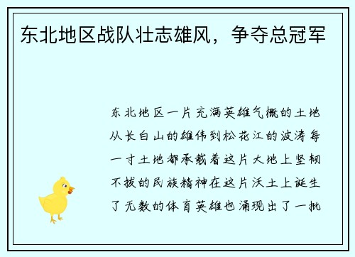 东北地区战队壮志雄风，争夺总冠军