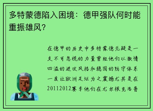 多特蒙德陷入困境：德甲强队何时能重振雄风？